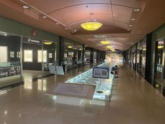 -青岛贝壳博物馆