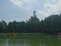 -团结湖公园
