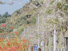 -小南山公园