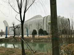 -泗洪洪泽湖湿地景区