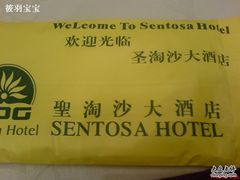 DSC03655-上海圣淘沙万怡酒店
