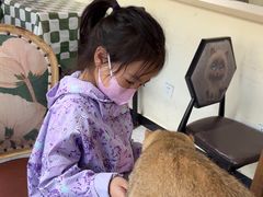 -猫小院猫主题餐厅(南锣旗舰店)