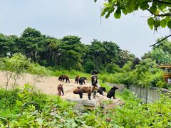 -沈阳森林动物园