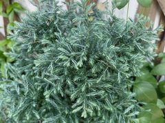 -隅cafe(傅厚岗店)