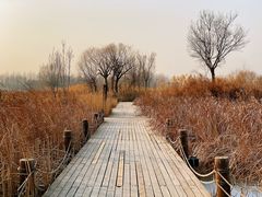 -马家湾湿地公园