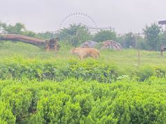 -济南野生动物世界