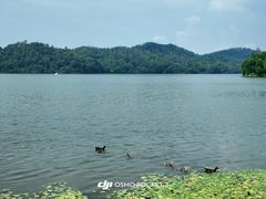 -东湖落雁景区