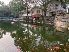 -南山植物园