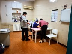 -北京观赏动物医院·24小时大型综合·猫专科·异宠专科