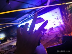 -遇见KTV(心怡路店)