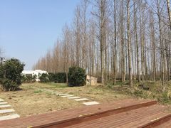 -崇明东平国家森林公园烧烤房车露营地