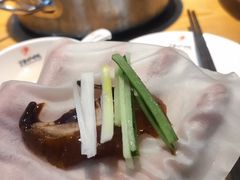 -守柴炉烤鸭(乐山万达店)