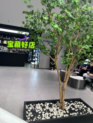 -付军剪艺JF ProSalon