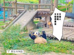 -上海野生动物园