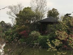 -桃花岛景观公园