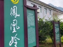 -北京凤凰岭