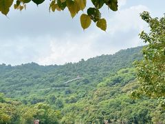 -阳台山森林公园