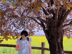 -汉长安城未央宫国家考古遗址公园