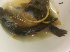 -盘龙黄鳝(盘龙居店)