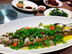 青花椒蒸白水鱼-荣兴酒家(徐家汇店)