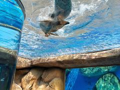 -长沙湘江欢乐雪域