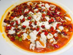 美蛙美鱼-青花椒花椒鱼(合生汇店)