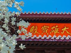 -灵谷景区