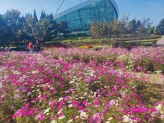 -石家庄市植物园