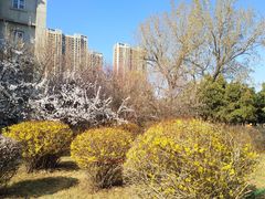 -东北大学(南湖校区)