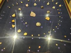 -青岛贝壳博物馆