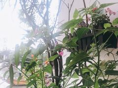-漕溪人家