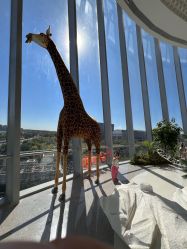 -IMON·HANSA潮玩玩偶毛绒玩具(通州万象汇店)