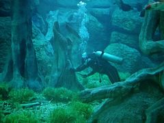 -福州罗源湾海洋世界旅游区