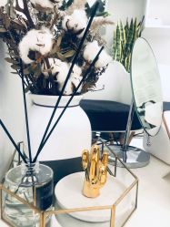 -紫御国际抗衰ZOE ANTI AGING