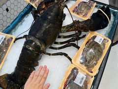 -上海龙之梦万丽酒店