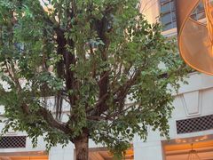 -漢咖啡·全服务式自助晚餐(武汉洲际酒店)