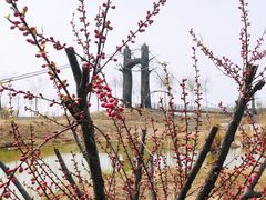 -西青郊野公园