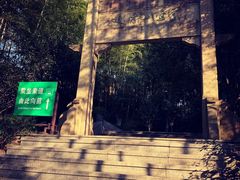 -紫金山山顶公园