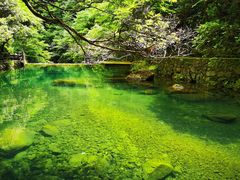-白云源风景区