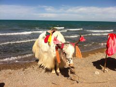 -青海湖国家重点风景名胜区