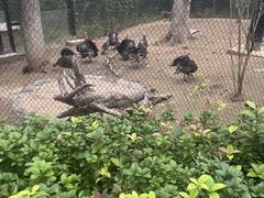 -武汉动物园