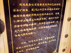 -碧中海汤泉汗蒸酒店