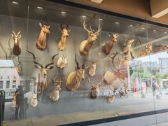 -陕西自然博物馆