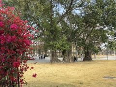 -赤坎·广东华侨国际旅游度假区