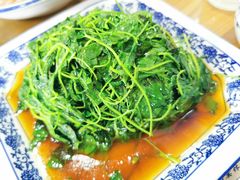 -洞天食府(北大街店)