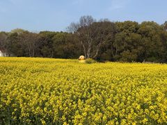 -动邦皮划艇·桨板·独木舟·团建户外运动俱乐部
