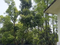 -青龙山国家森林公园