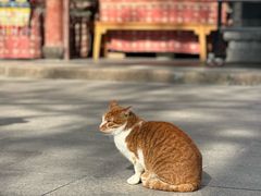 -龙华寺
