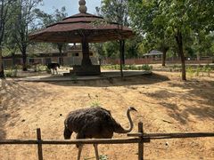 -石家庄市动物园