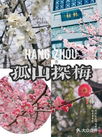 虽然今年春节又被天气预报玩耍了一把